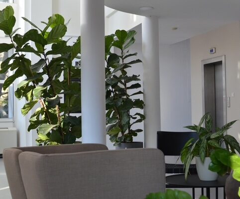 szemelyes-konzultacio